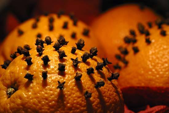 apelsin-i-gvozdika-ot-moshek